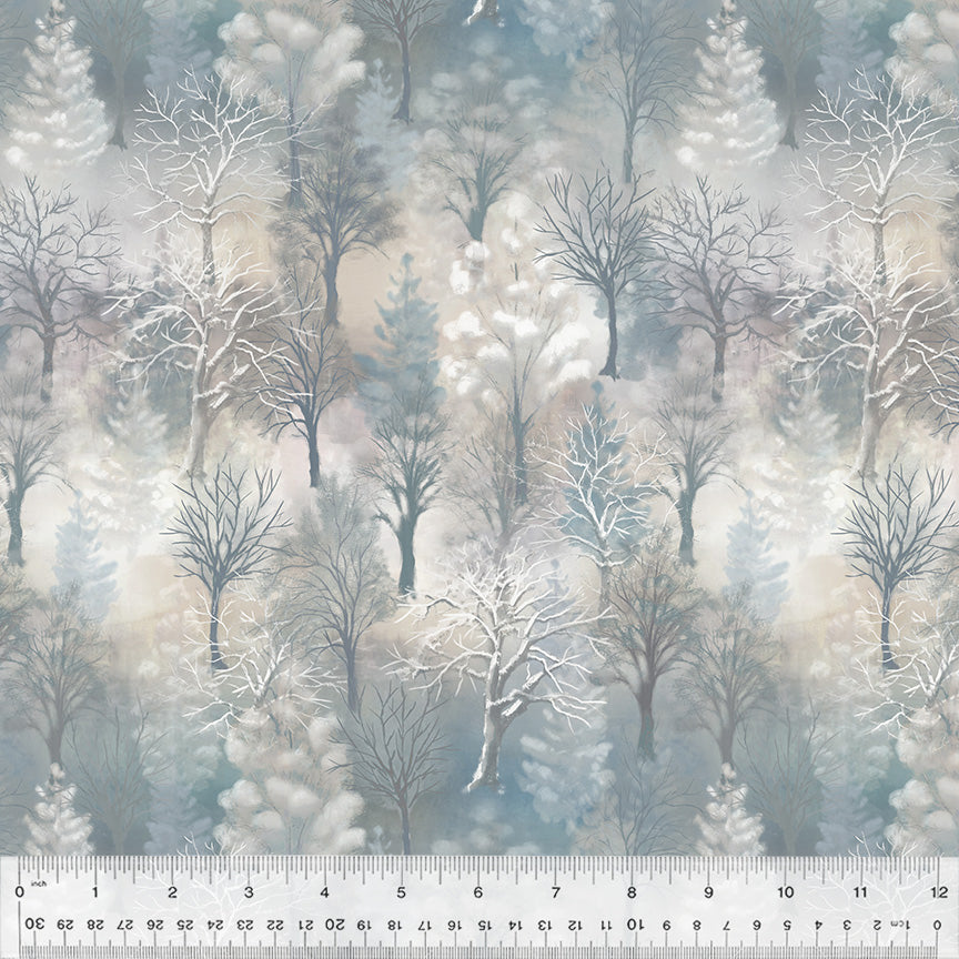 Winter Woods Winter Woods