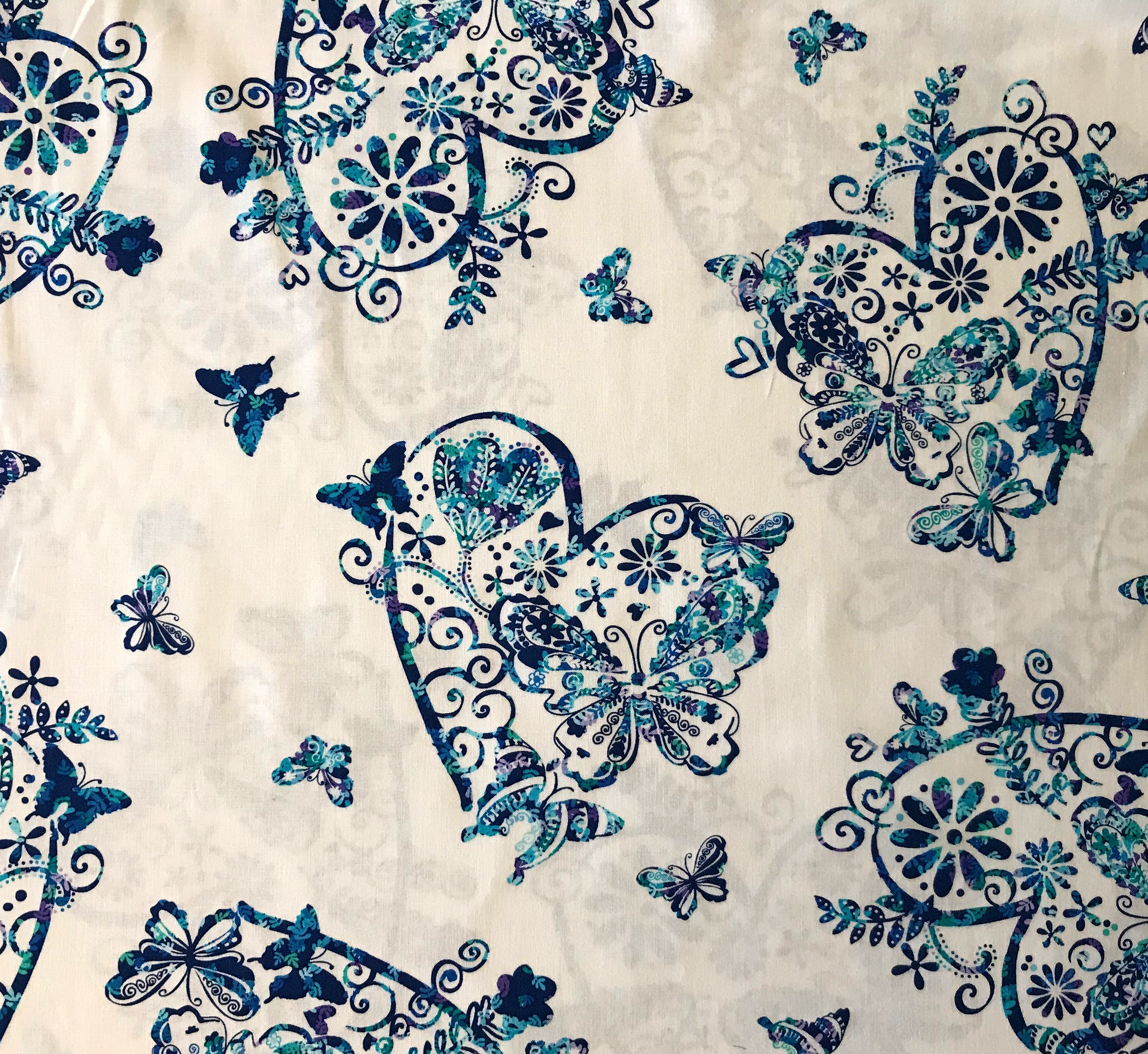 IMG_2267 Social Butterfly