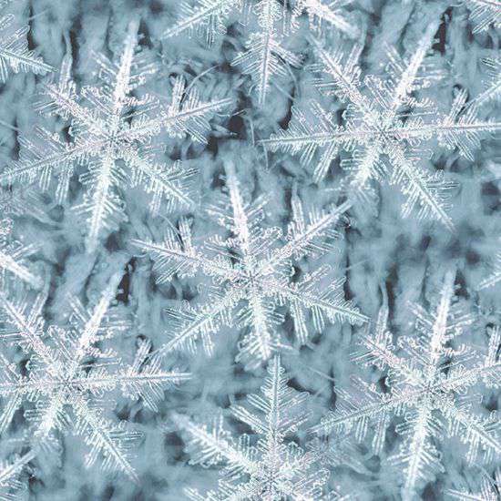 U5037-113-Frost U5037 - Frost - 113