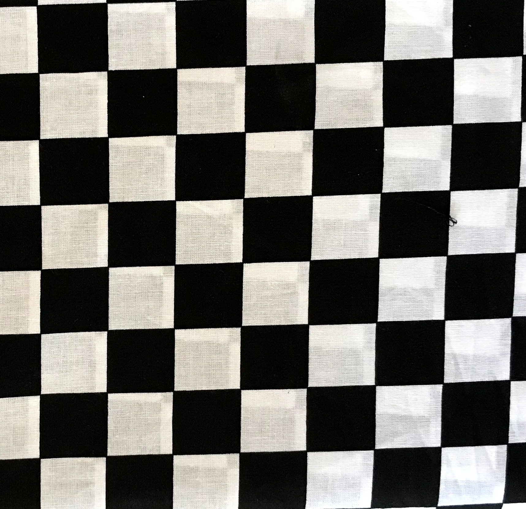 IMG_2258 Black and White - Little Square