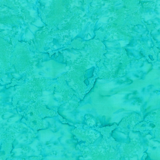 1895 - 602 Earth Day