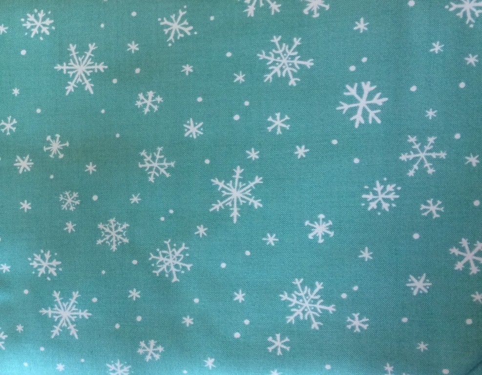 421 Winter Wonderland
