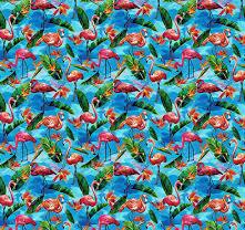 imagesoRoyeip0JgVR5 Fabulous Flamingos