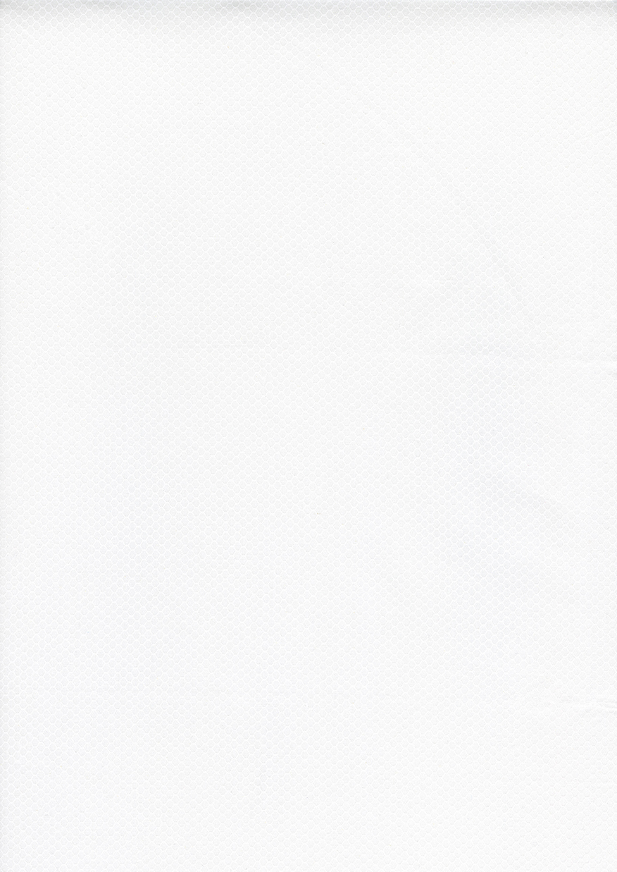 8191 C8191- White - Hue