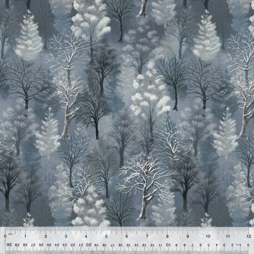Winter Woods Winter Woods
