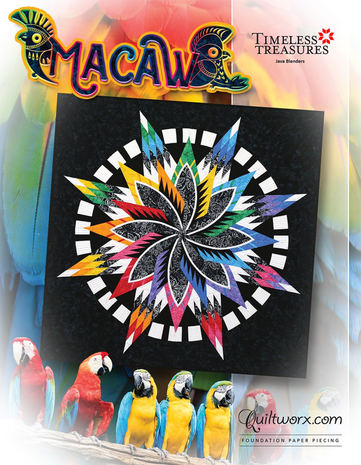 macaw Macaw Wall