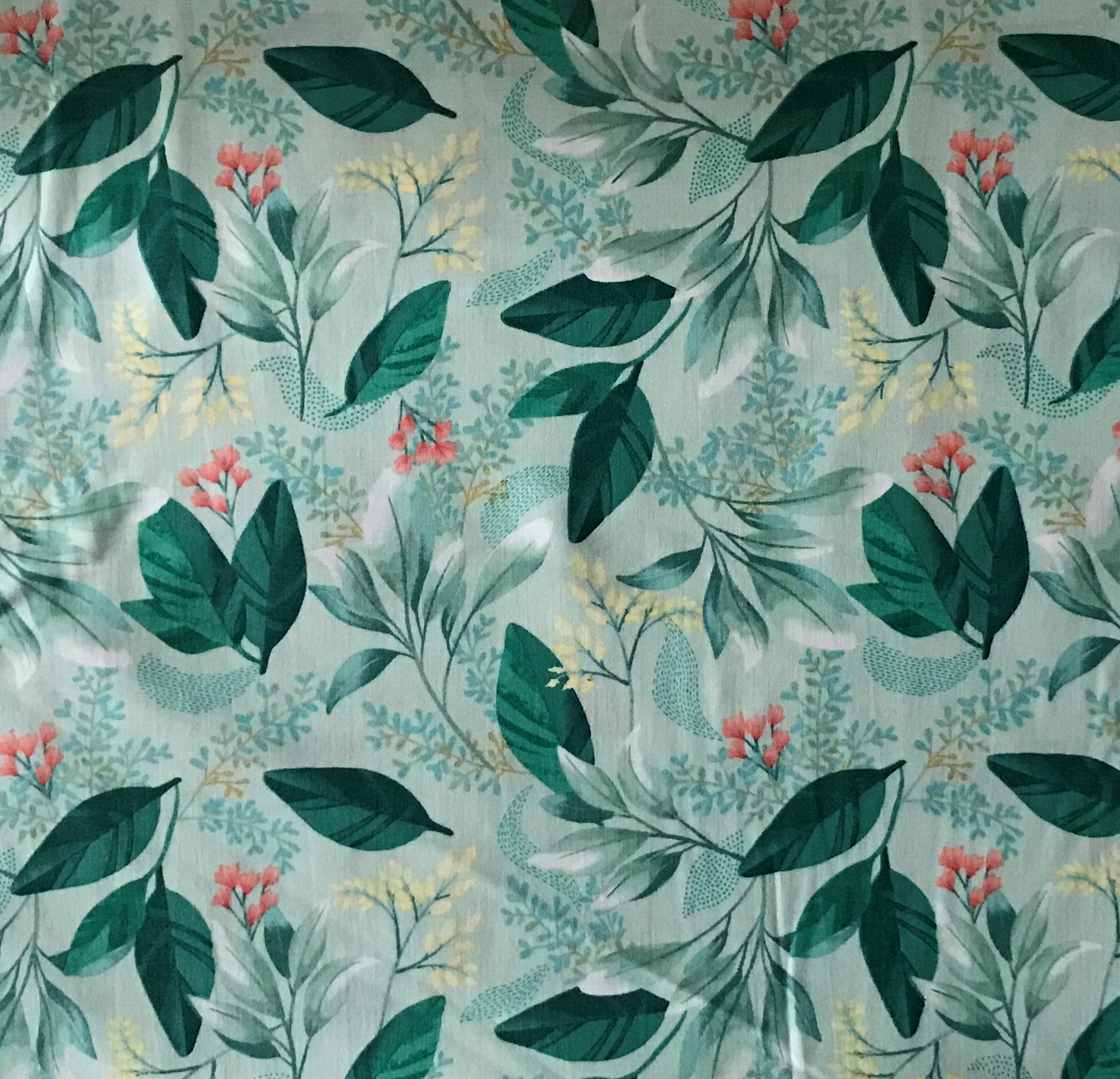 IMG_2323 Fresh Meadow