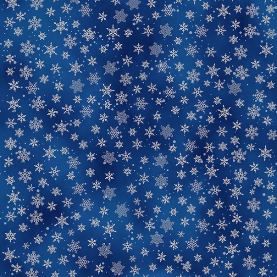 78403 V7164 Navy Silver