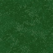 Spraytime Christmas Green