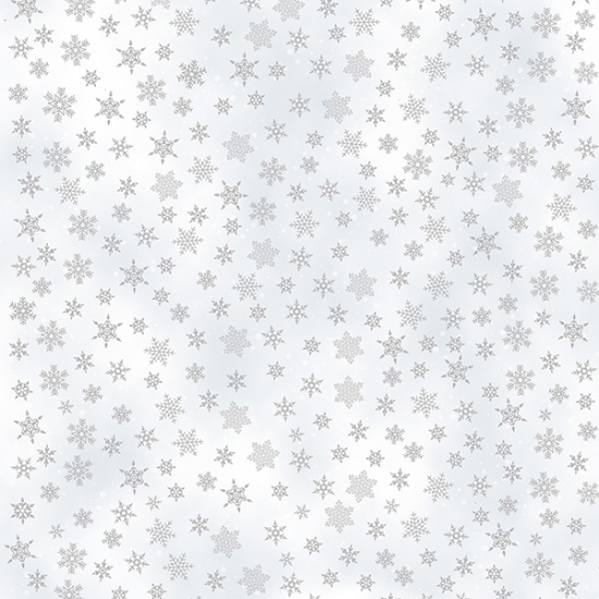 78404 V7164 Frost Silver