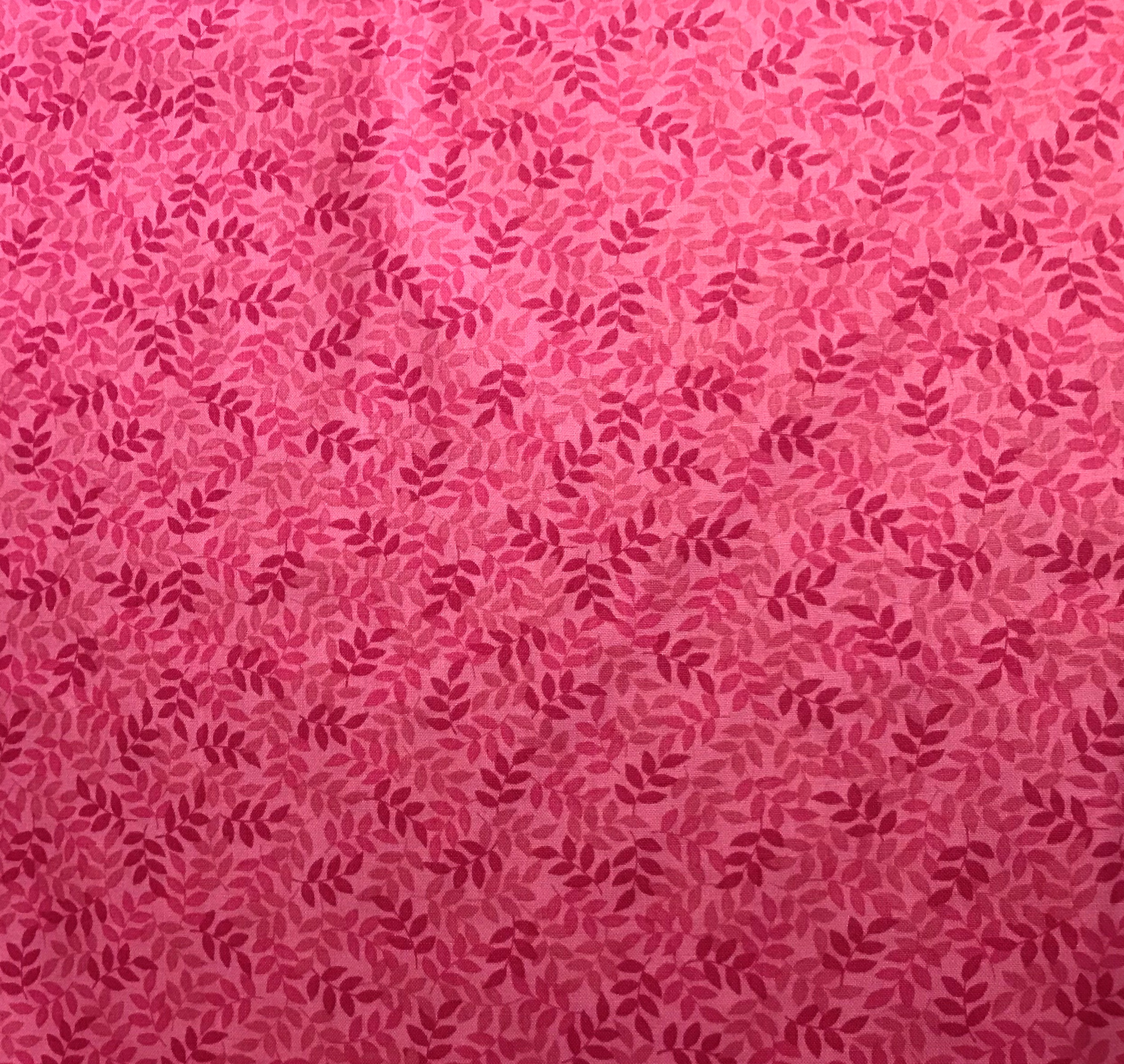 Leaves