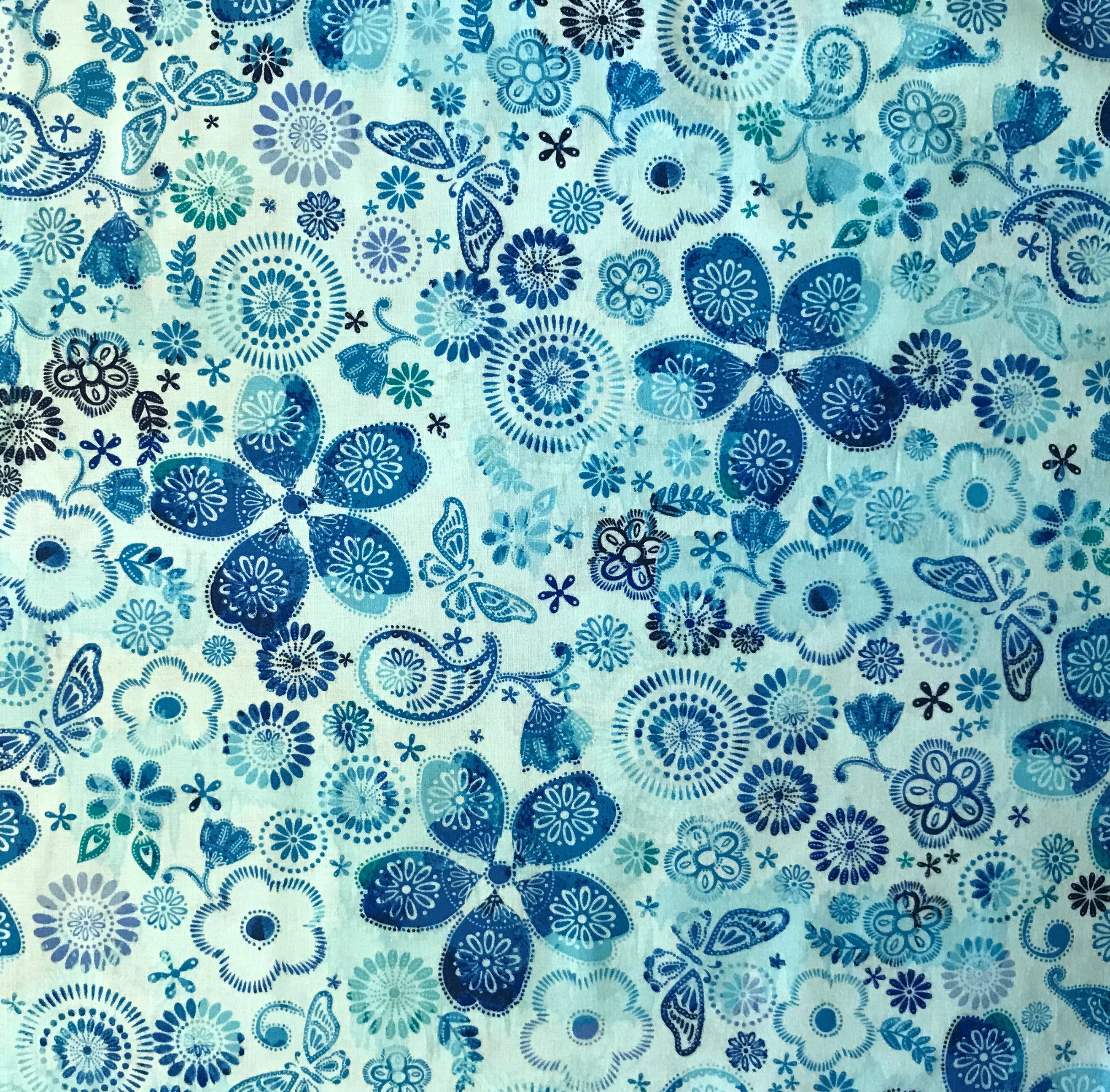 IMG_2270 Social Butterfly