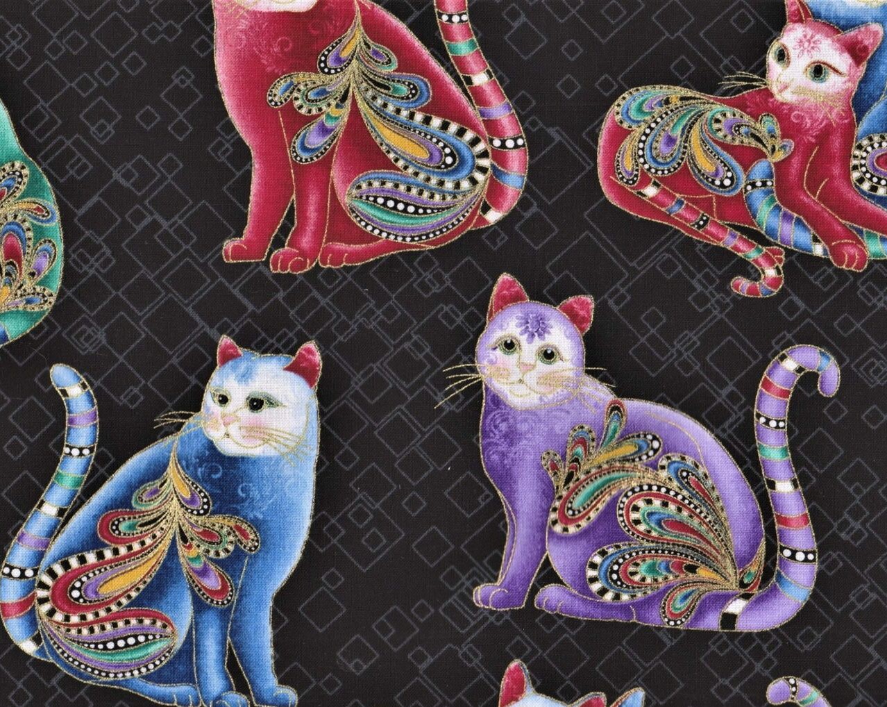 Cat - I - Tude II