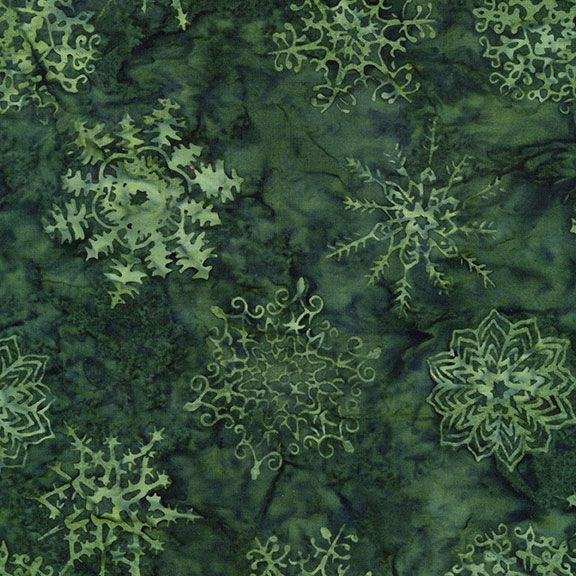 B3528 Mistletoe - Tonga