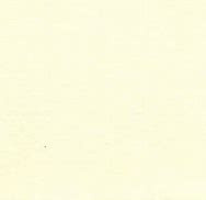 Essentials - Scroll Cream