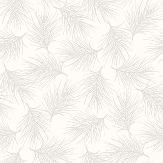 Pine - Soft White