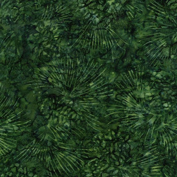 B3572 Holly - Tonga